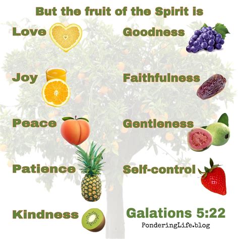 12 fruits of holy spirit|explain each fruit of spirit.